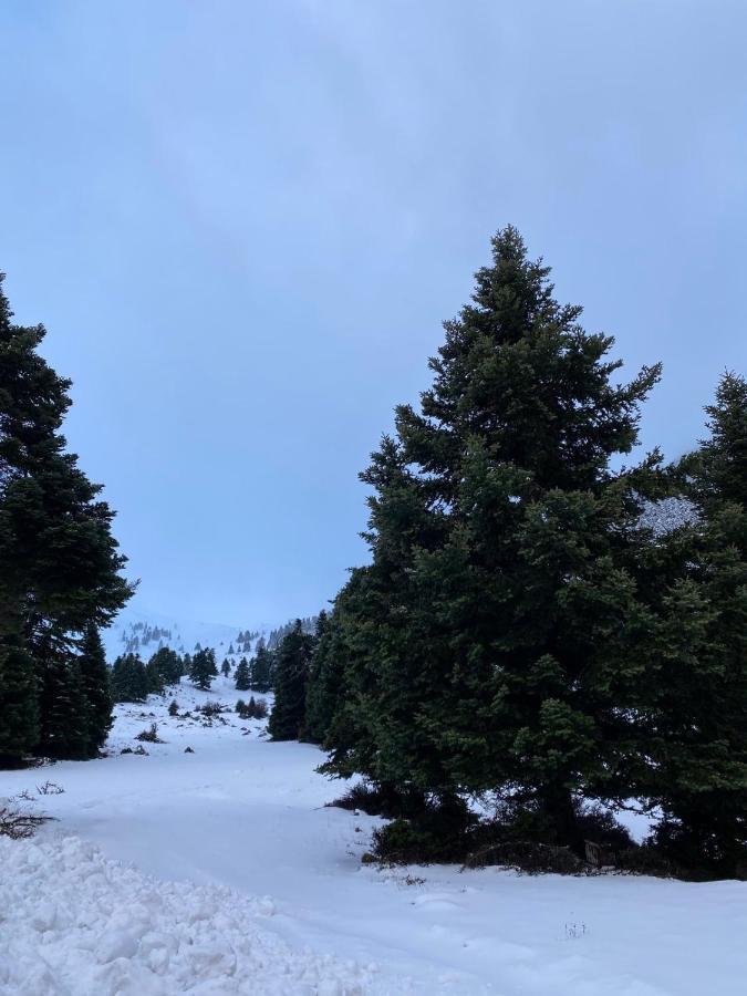 Apartmán Mezonetes Helmos Ano Lousoi Exteriér fotografie