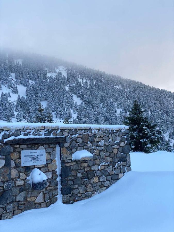 Apartmán Mezonetes Helmos Ano Lousoi Exteriér fotografie